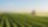 Farmer spraying his plants on a farm using a water sprayer tractor