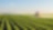 Farmer spraying his plants on a farm using a water sprayer tractor