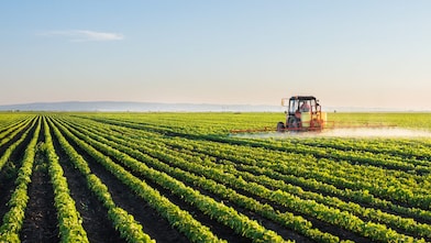 Farmer spraying his plants on a farm using a water sprayer tractor