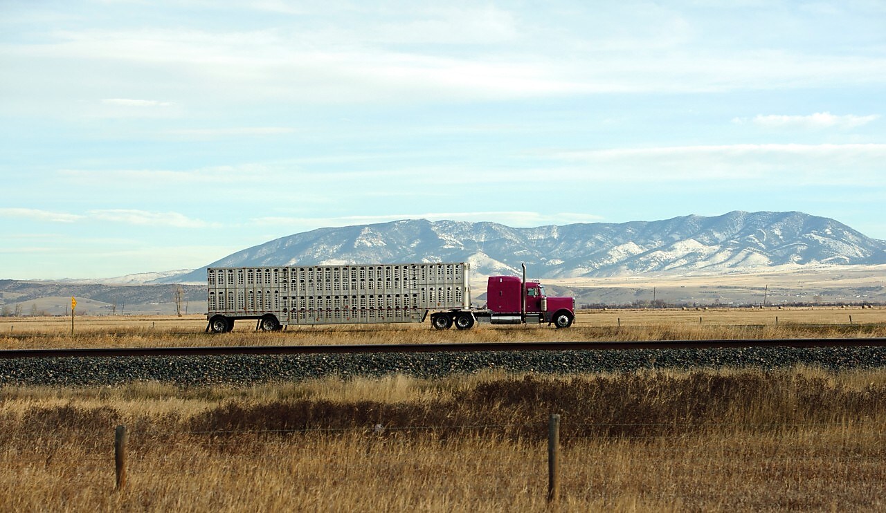 Truck driving along highway on blue sky background