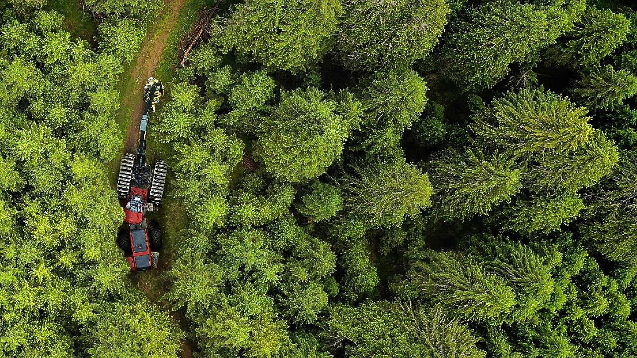 Power engineer climbing wind turbine