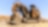 Mining Tracked Excavator and Shell Mining workers