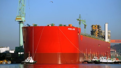 Image and video library