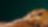 Pastries