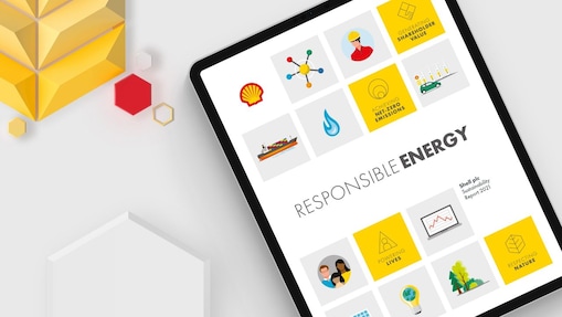 Online Sustainability Report